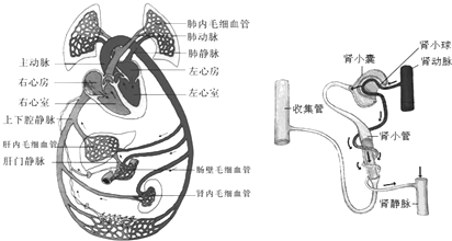 作业帮