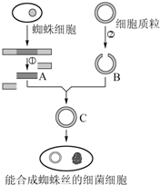 作业帮