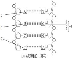 作业帮