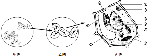 作业帮