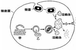 作业帮