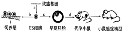 作业帮