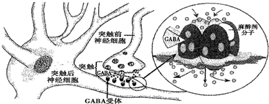 作业帮