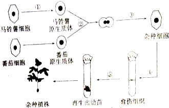 作业帮