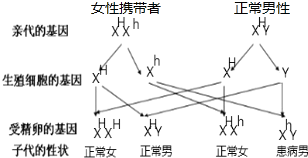 作业帮