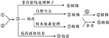 作业帮