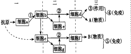 作业帮