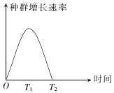 作业帮