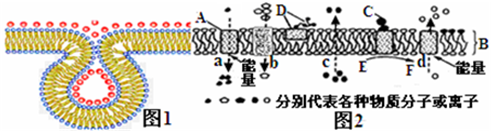 作业帮