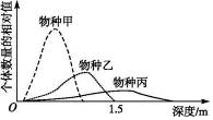 作业帮