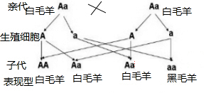 作业帮