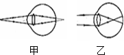 作业帮