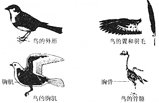 作业帮