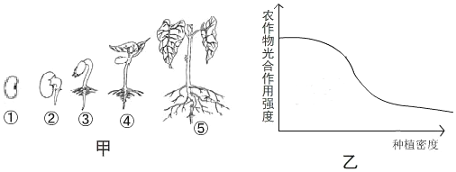 作业帮