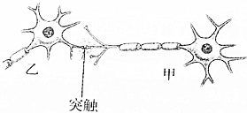 作业帮