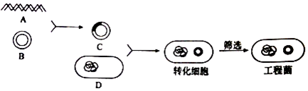 作业帮