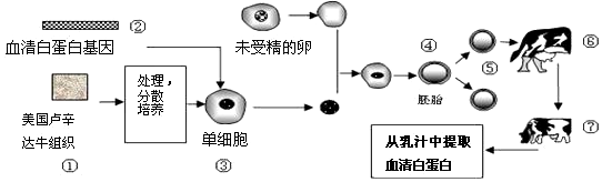 作业帮