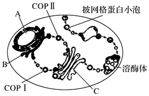 作业帮