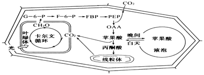 作业帮