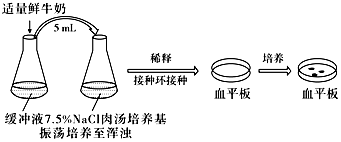 作业帮