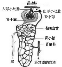 作业帮