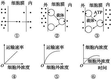 作业帮