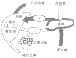 作业帮