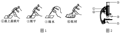 作业帮