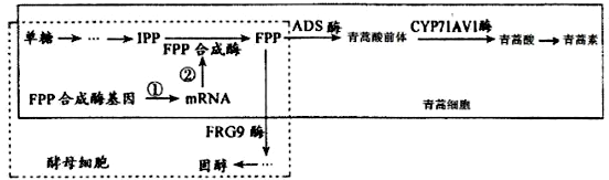 作业帮