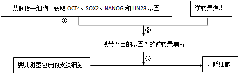 作业帮