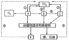 作业帮