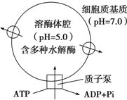 作业帮