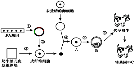 作业帮