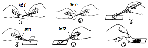 作业帮