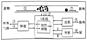 作业帮