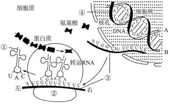 作业帮