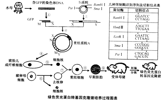 作业帮