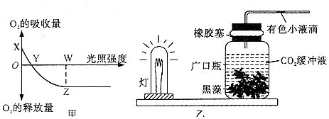 南极最低-93℃！中国人却能扣大棚种菜为了好收成给蔬菜放音乐