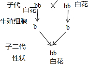 作业帮