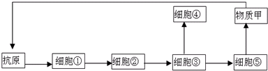 作业帮