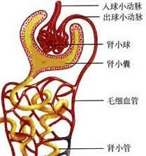 作业帮