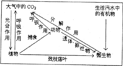 作业帮