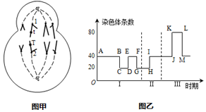 作业帮