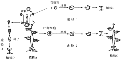 作业帮