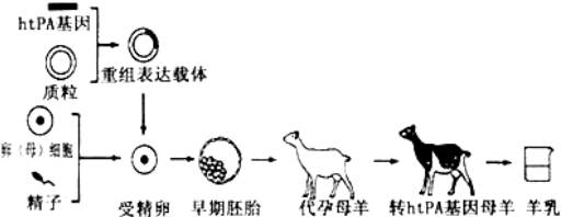 作业帮