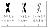 作业帮