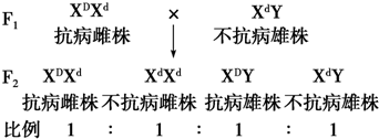 作业帮