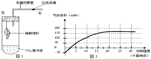 作业帮