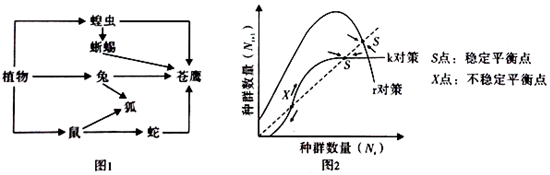 作业帮