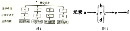 作业帮